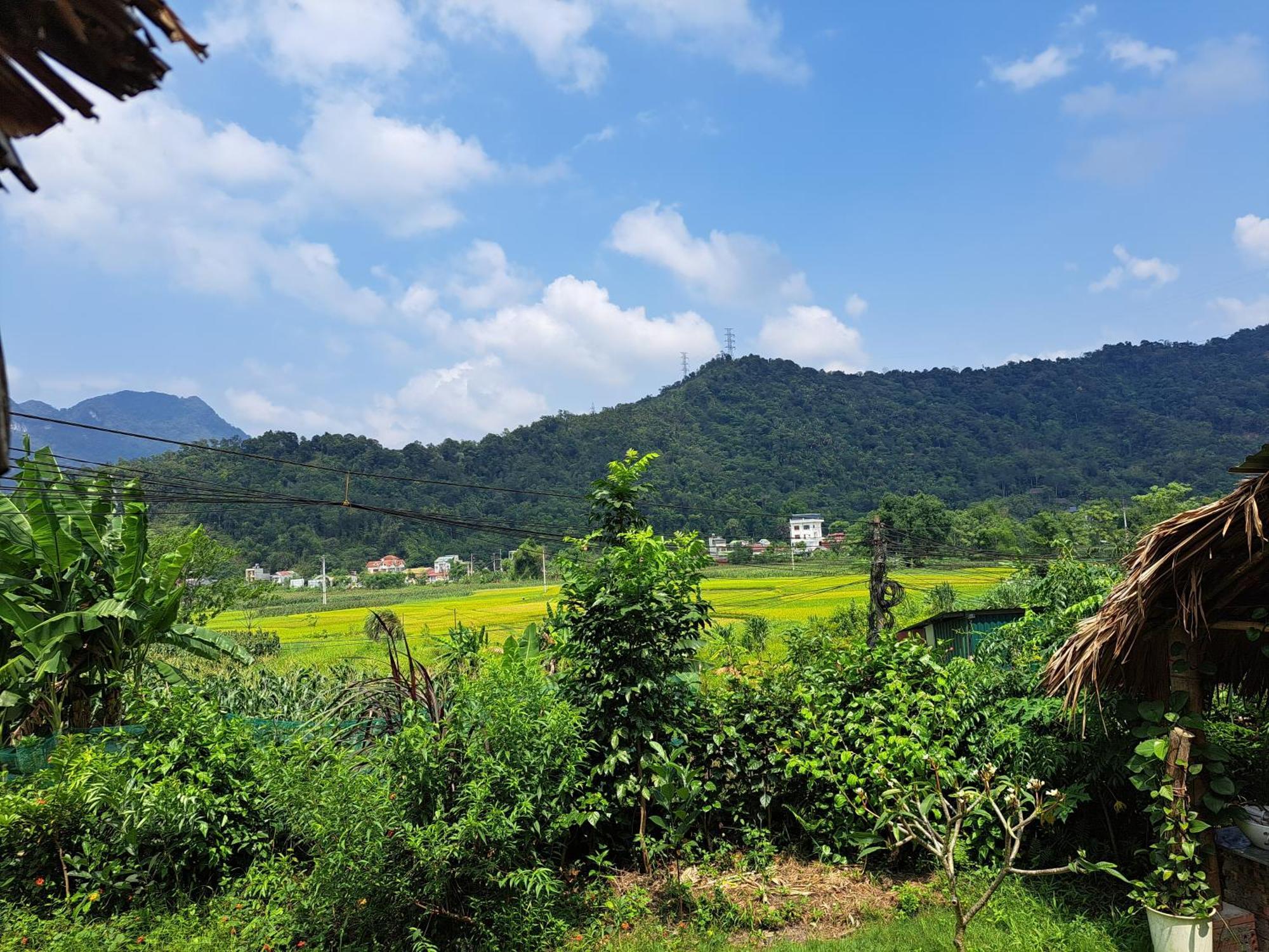 Homestay Field - Bungalow, Ha Giang Loop Tour, Motorbikes Rental Exterior foto