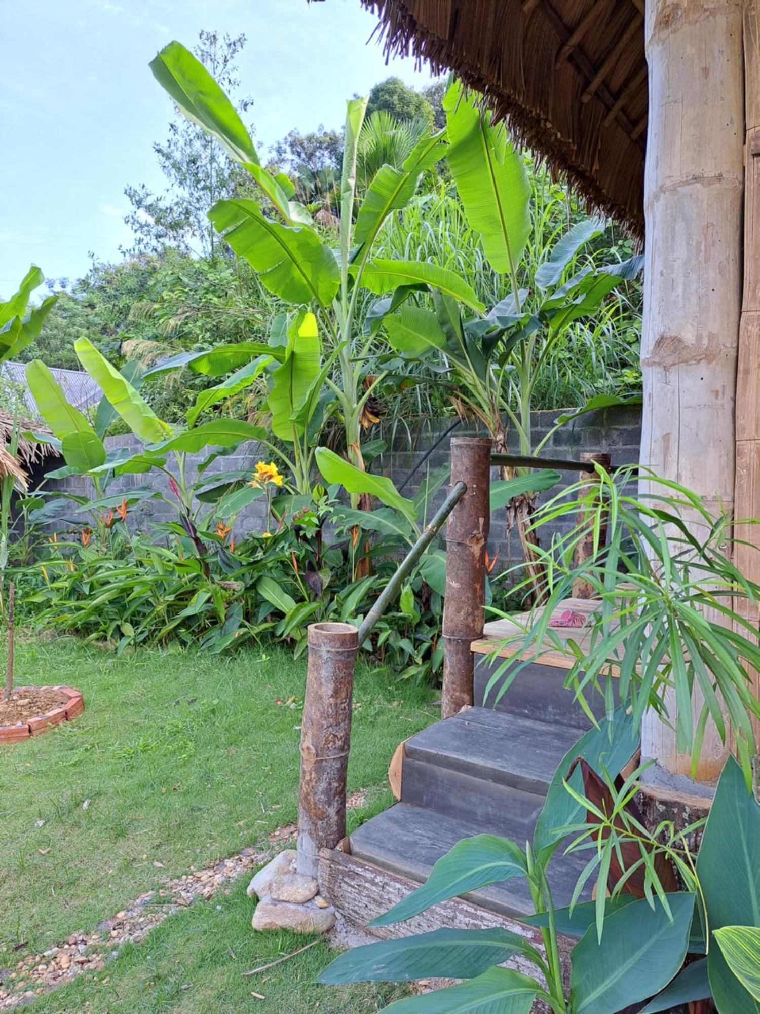 Homestay Field - Bungalow, Ha Giang Loop Tour, Motorbikes Rental Exterior foto
