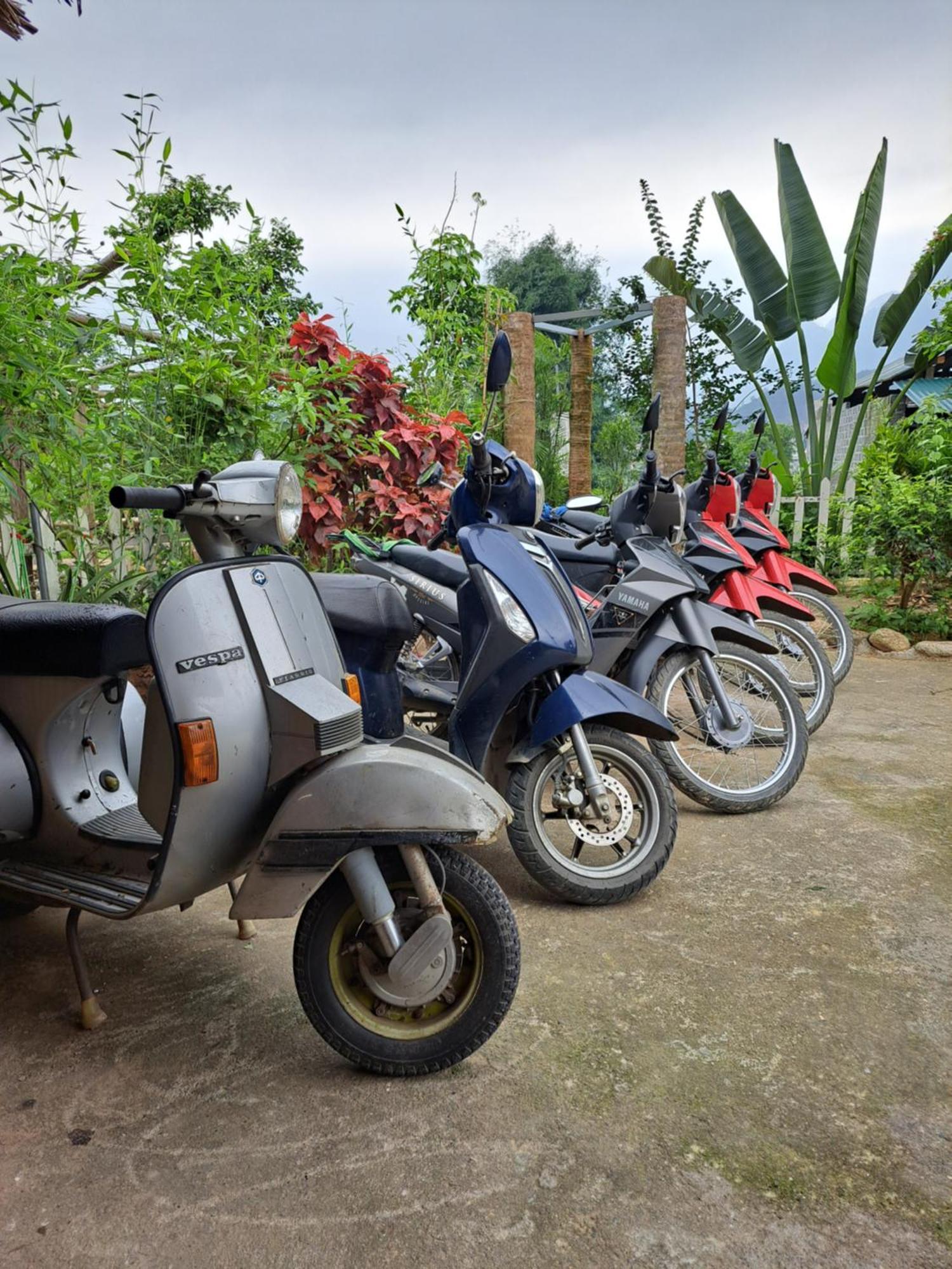 Homestay Field - Bungalow, Ha Giang Loop Tour, Motorbikes Rental Exterior foto
