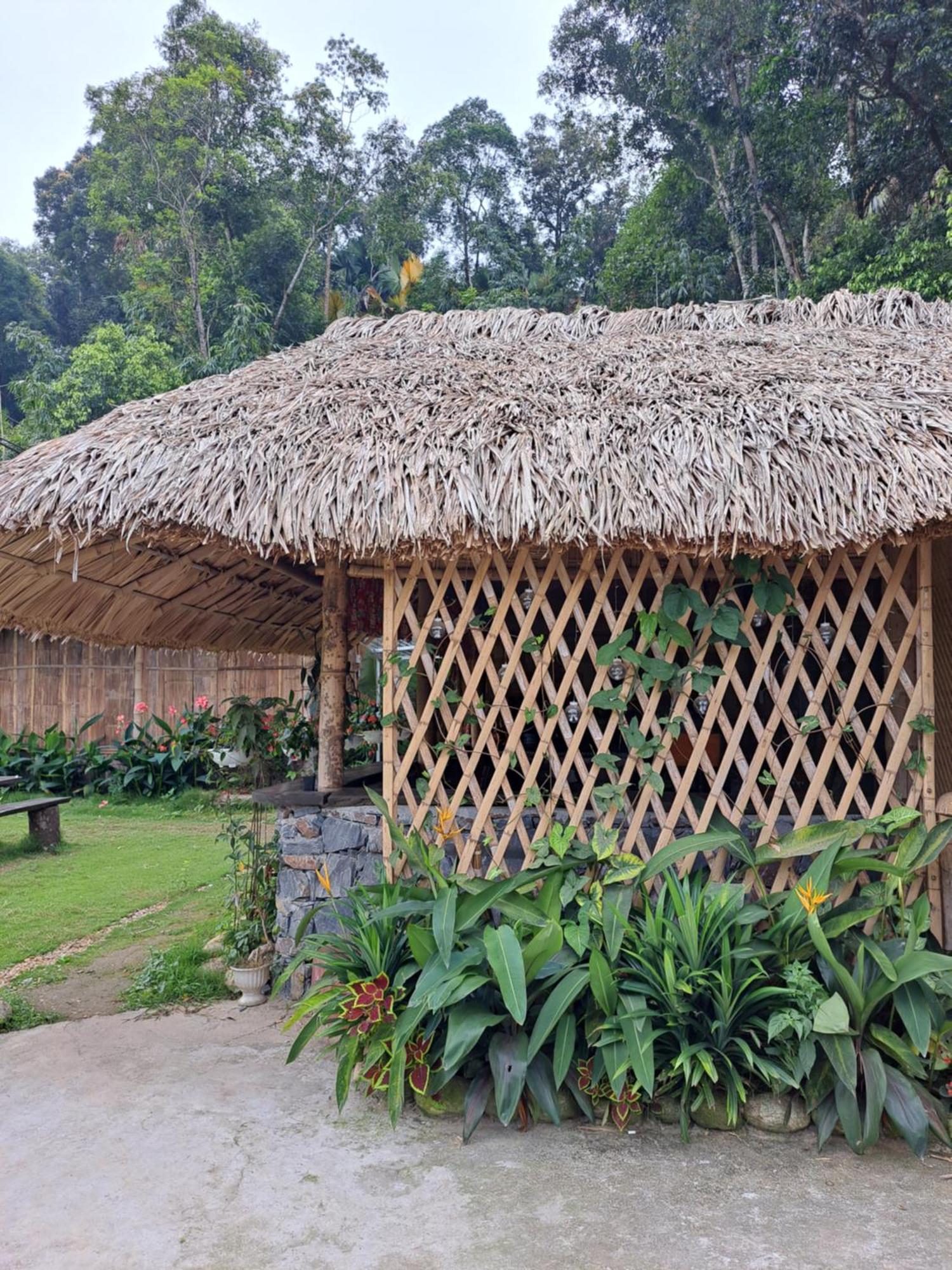Homestay Field - Bungalow, Ha Giang Loop Tour, Motorbikes Rental Exterior foto