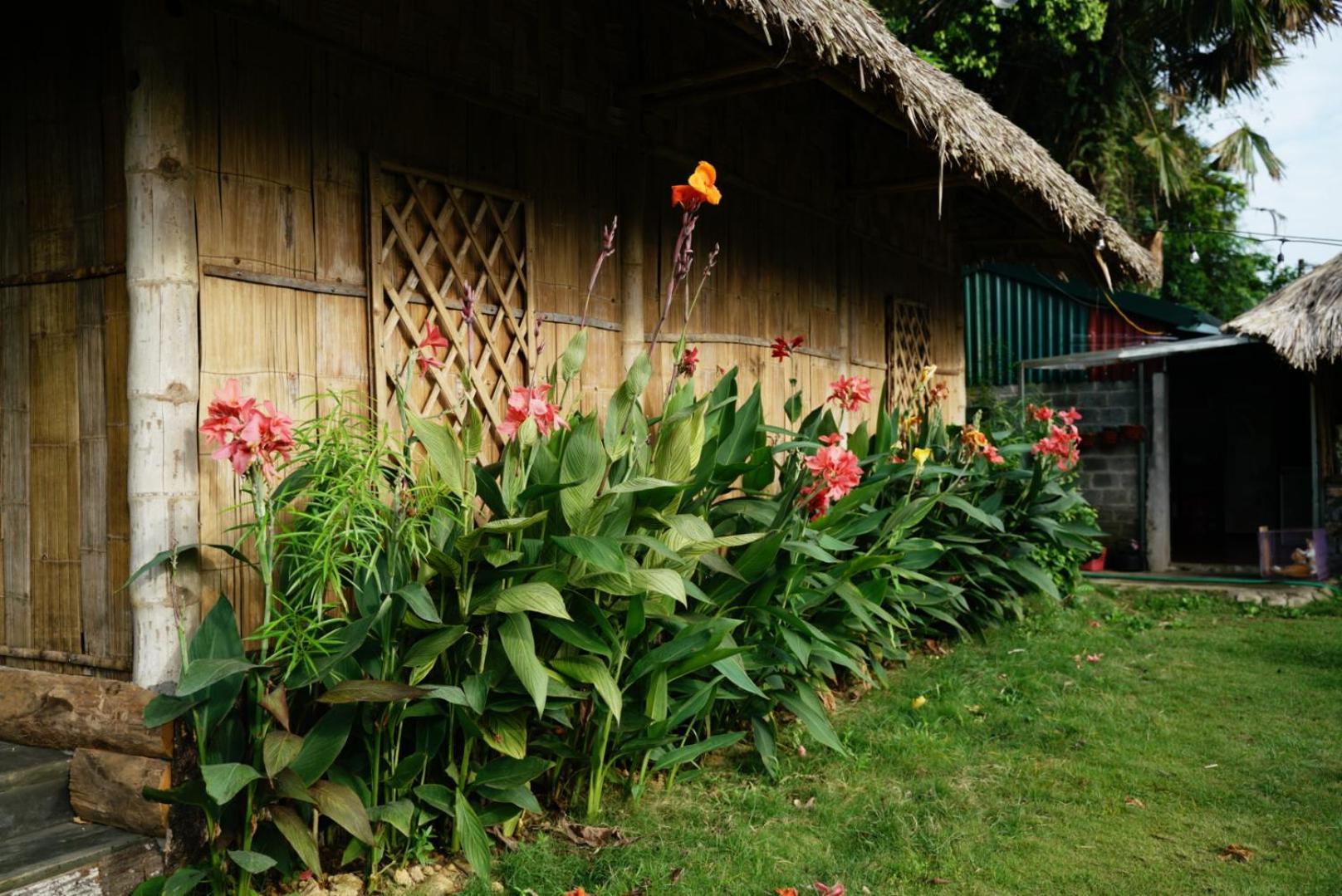 Homestay Field - Bungalow, Ha Giang Loop Tour, Motorbikes Rental Exterior foto